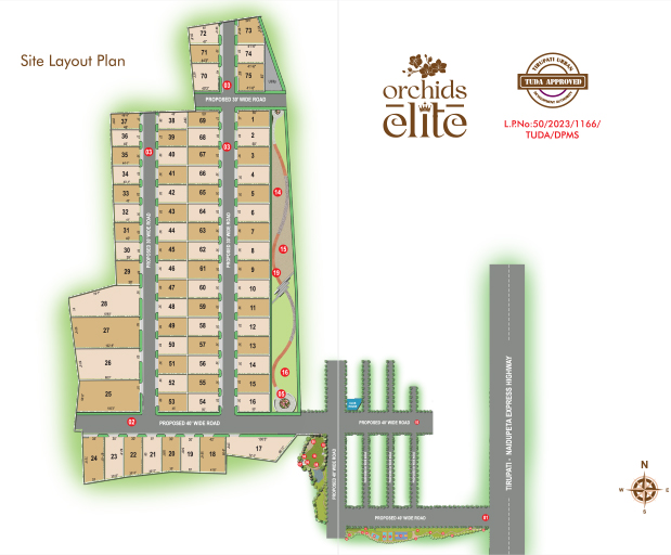 Orchids Elite No. of Plots | Open Plots In Tirupati