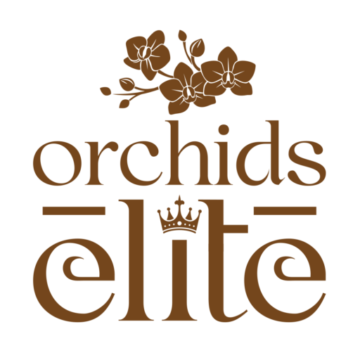 Orchids Elite